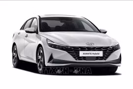 Hyundai presentó el nuevo Avante Hybrid en Seúl, Corea del Sur, el 13 de agosto de 2020. (Fuente: VNA)
