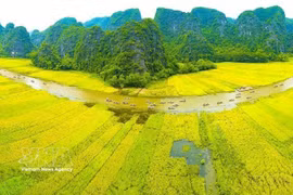 Arrozales en terrazas del barrio de Ha Giang 1, en la provincia de Tuyen Quang. (Fuente: VNA)