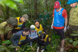 Gestionar y utilizar de forma sostenible los recursos naturales, proteger el medio ambiente y la biodiversidad para fomentar un turismo duradero son objetivos clave de la Estrategia de Desarrollo Turístico de Vietnam hasta 2030. (Fuente: nhandan.vn)