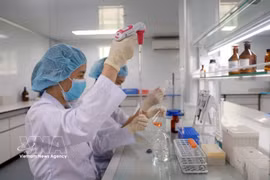 Los investigadores del Instituto de Vacunas y Productos Médicos Biológicos del Ministerio de Salud (con sede en la provincia de Khanh Hoa) investigan y prueban vacunas.