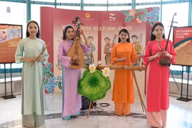 Una presentación musical en el evento. (Fuente: VietnamPlus)