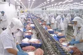 Procesamiento de mariscos para exportación (Foto: VietnamPlus)