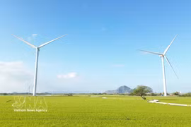Actualmente, el parque eólico Dam Nai e encuentra en la comuna de Thuan Bac, provincia de Khanh Hoa. (Fuente: VNA)