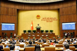 Asamblea Nacional de Vietnam aprueba ley revisada para modernizar la educación jurídica (Fuente: VNA)