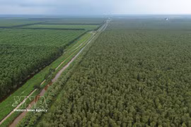 El Parque Nacional U Minh Ha (Fuente: VNA)