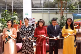 Efectúan seminario sobre Vietnam en Universidad Nacional Autónoma de México