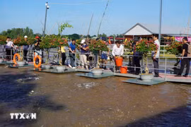 Turistas visitan el río Tien. (Fuente: VNA)