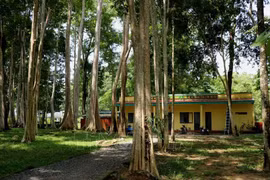 En el Parque Nacional Cat Tien. (Fuente: VNA)