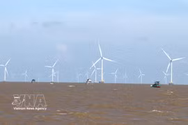 El sistema de turbinas eólicas marinas de la empresa eólica Tien Giang. (Fuente: VNA)