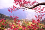 Viaje de primavera a comienzos de año – Destinos imperdibles