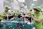 Línea de producción de cables eléctricos en Bandai Vietnam Co., Ltd., en el Parque Industrial Bo Trai, en el distrito de Hoa Binh, provincia de Phu Tho. (Foto: VNA)