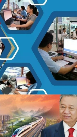 Racionalización del aparato estatal: la revolución abre una nueva era