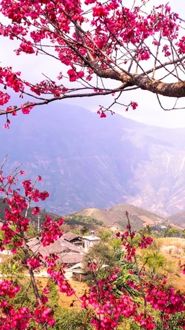 Viaje de primavera a comienzos de año – Destinos imperdibles