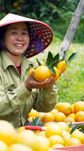 Vietnam apuesta por producción verde y cadenas estandarizadas para mejorar exportaciones de frutas y verduras en 2026