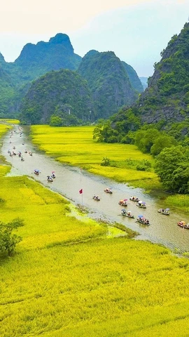 Festivales Creativos: Un Impulso para el Turismo en Vietnam 