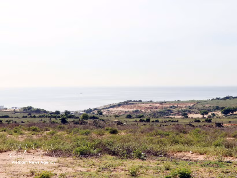 La zona principal de construcción de la central nuclear Ninh Thuan 1 está ubicada en la aldea de Vinh Truong, comuna de Phuoc Dinh. (Foto: VNA)