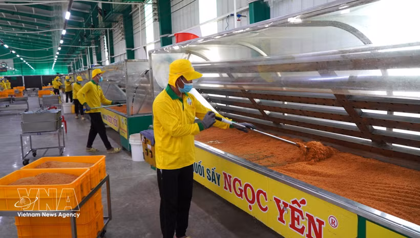 Línea de producción de la empresa Ngoc Yen, en la provincia de Dong Nai (Foto: VNA)