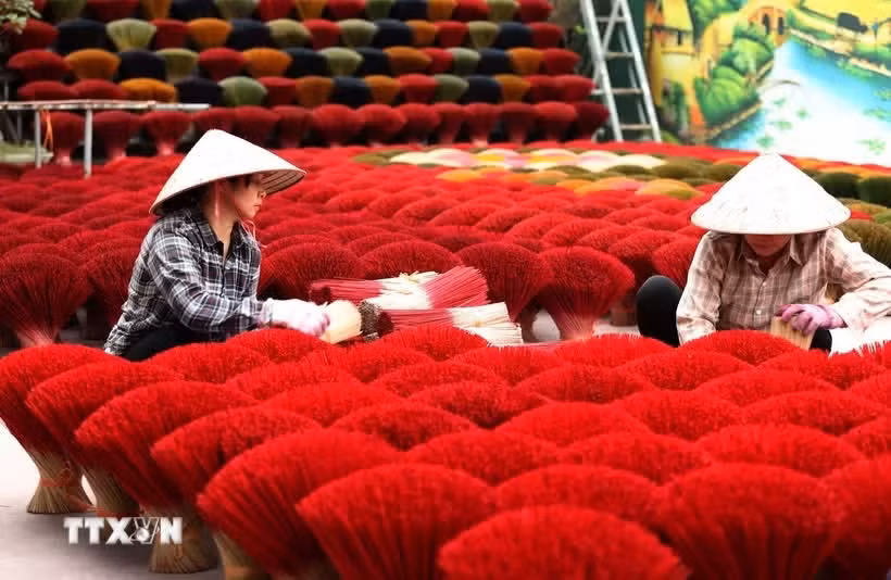 La aldea de Quang Phu Cau se dedica al oficio tradicional de elaboración de inciensos. (Foto: VNA)
