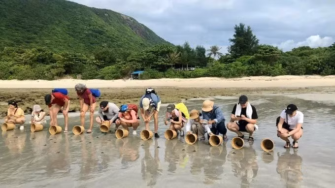 Los turistas extranjeros particupan en un tour para liberar crías de tortuga marina de vuelta al mar en Con Dao, Ciudad Ho Chi Minh. (Foto: sggp.org.jpg)