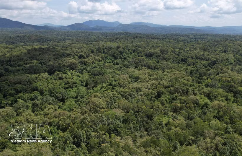 La Reserva Natural de Ea So, en la provincia central vietnamita de Dak Lak. (Foto ilustrativa: VNA)