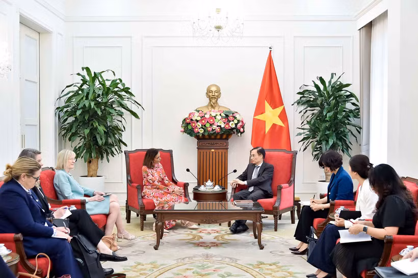 Panorama de la cita (Foto: Cancillería de Vietnam)
