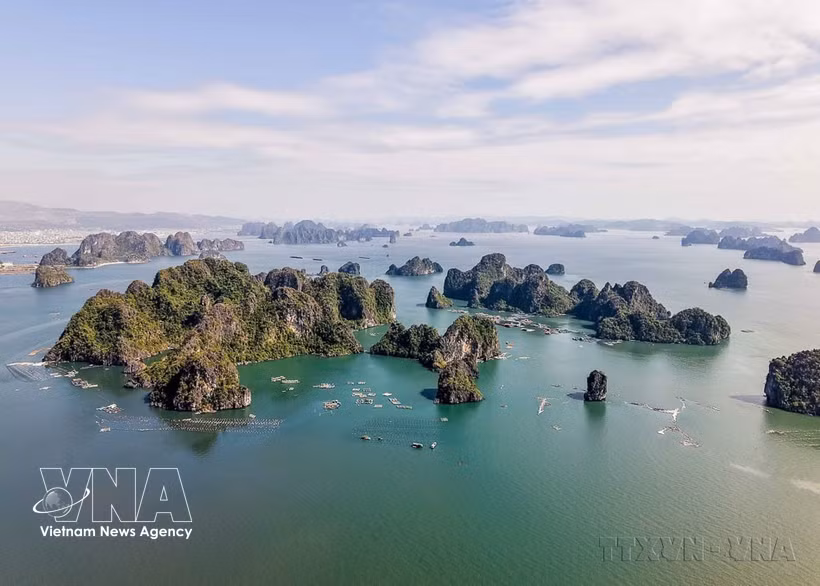 La Bahía de Ha Long es señalada como un ícono turístico mundial, con sus aguas color esmeralda, miles de formaciones kársticas y un ecosistema de gran valor ecológico (Foto: VNA)