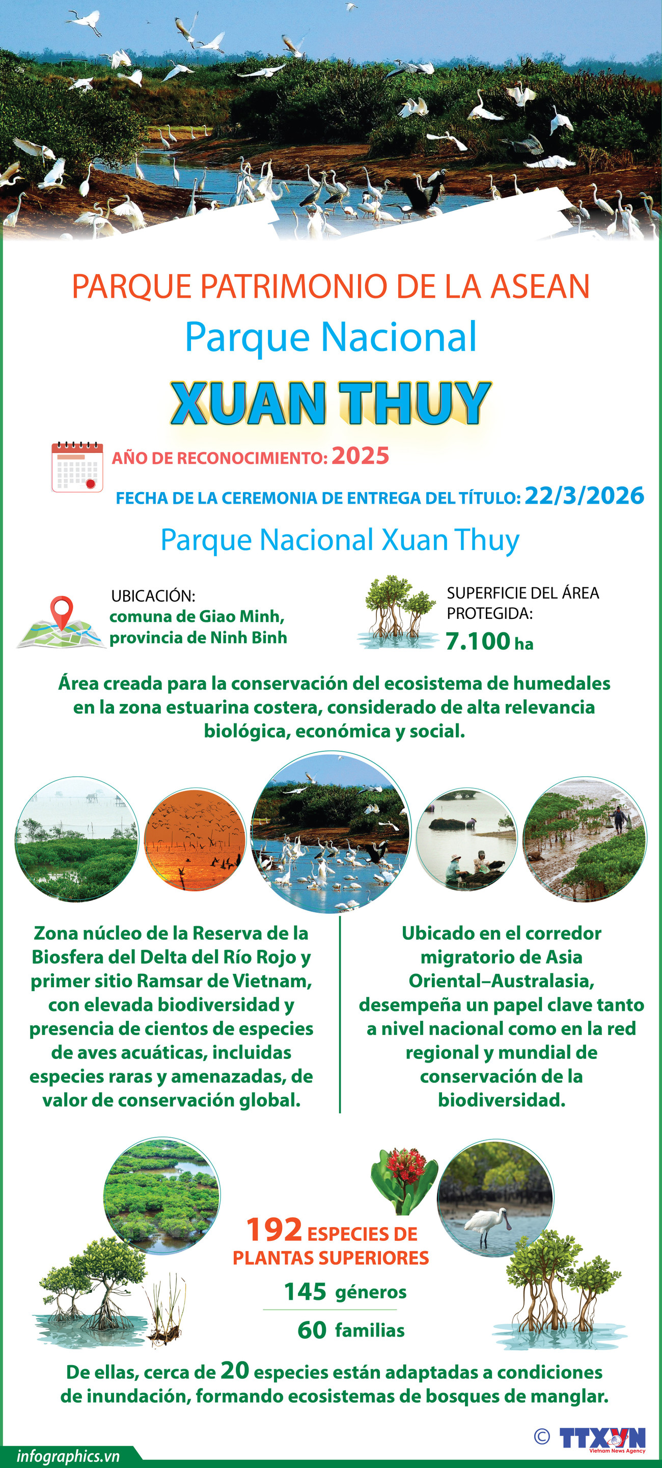 vn-2026-03-23-vn-vuon-qg-xuanthuy-v03-h84-h84.jpg