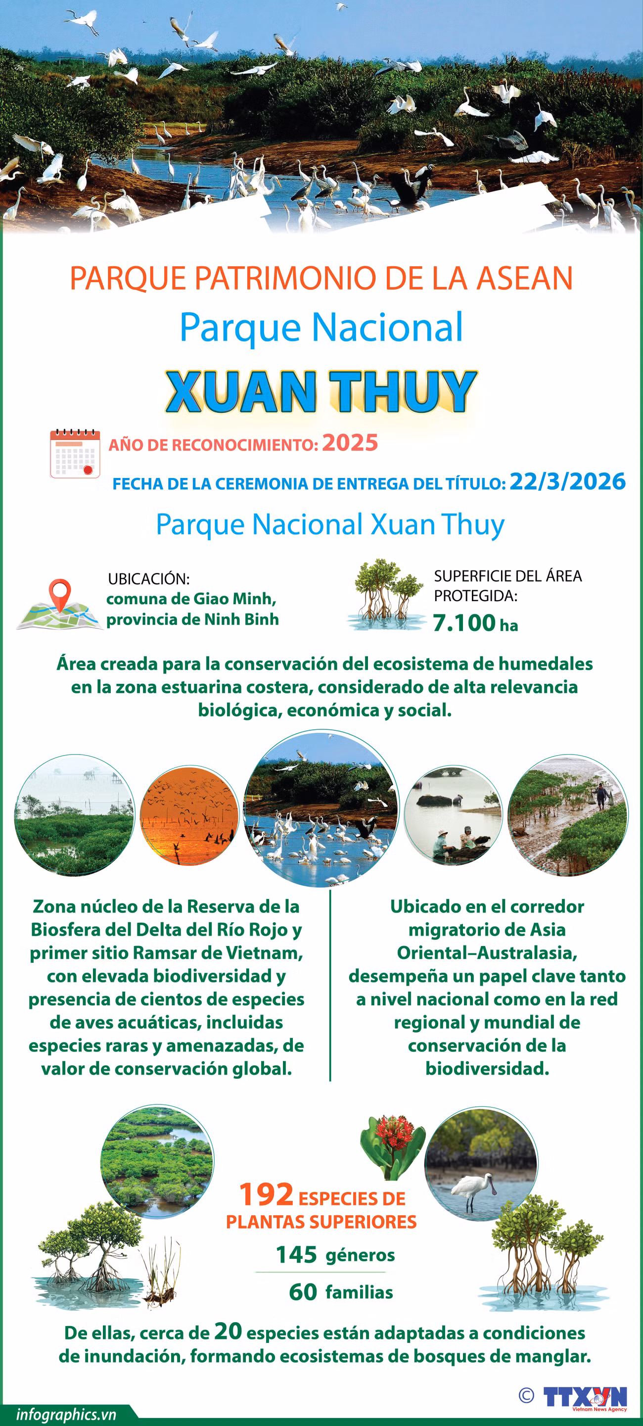 vn-2026-03-23-vn-vuon-qg-xuanthuy-v03-h84-h84.jpg