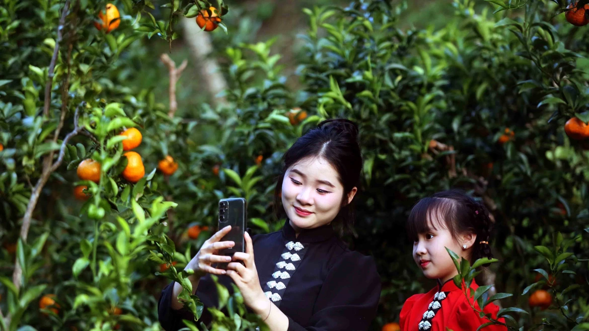 Son La desarrolla la marca mandarina vinculada con el turismo experiencial 