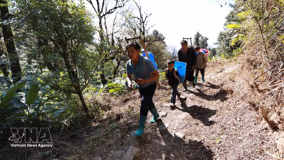 Despiertan potencial del turismo verde en el antiguo camino de piedra Pavie 
