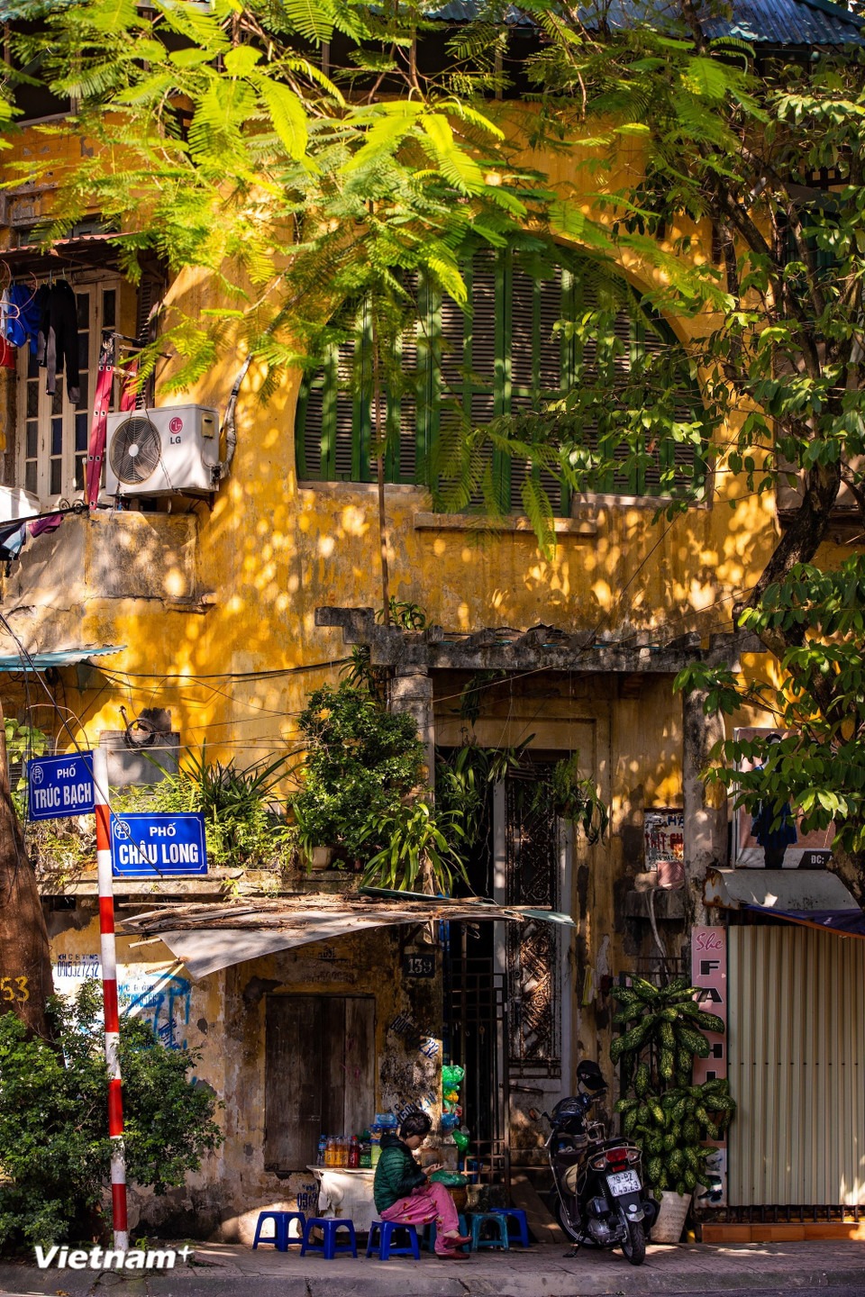 La temporada de sol radiante en Hanoi no es abrasadora, sino cristalina, con una luz suave muy particular. Bajo las copas de los árboles centenarios, el sol se escurre a través de las hojas, proyectándose sobre el asfalto y las aceras formando claroscuros entrelazados. (Foto: Vietnam+)