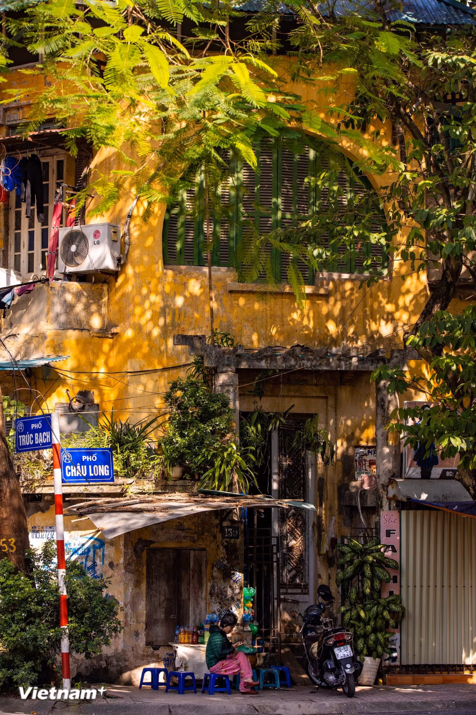 La temporada de sol radiante en Hanoi no es abrasadora, sino cristalina, con una luz suave muy particular. Bajo las copas de los árboles centenarios, el sol se escurre a través de las hojas, proyectándose sobre el asfalto y las aceras formando claroscuros entrelazados. (Foto: Vietnam+)