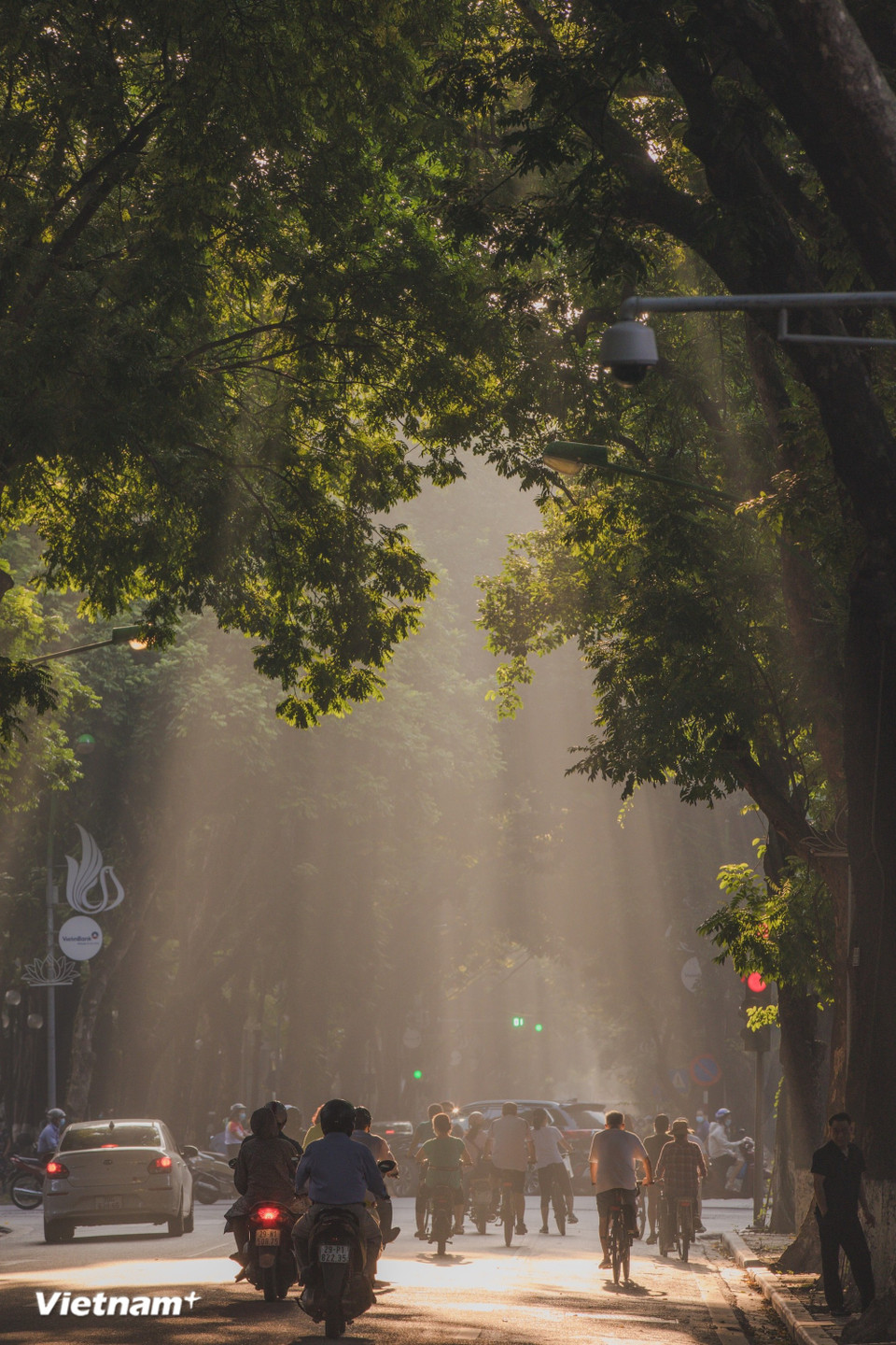 El otoño es quizás la estación que más se añora. El Otoño de Hanoi es el aliento de la serenidad, las hojas amarillas caen en las calles, y el aroma de las flores de "sua" (Alstonia scholaris) permanece en el aire, una fragancia característica que hace que quienes están lejos la recuerden. (Foto: Vietnam+)