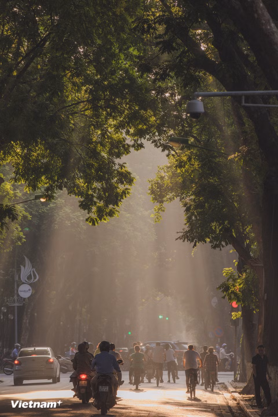 El otoño es quizás la estación que más se añora. El Otoño de Hanoi es el aliento de la serenidad, las hojas amarillas caen en las calles, y el aroma de las flores de "sua" (Alstonia scholaris) permanece en el aire, una fragancia característica que hace que quienes están lejos la recuerden. (Foto: Vietnam+)