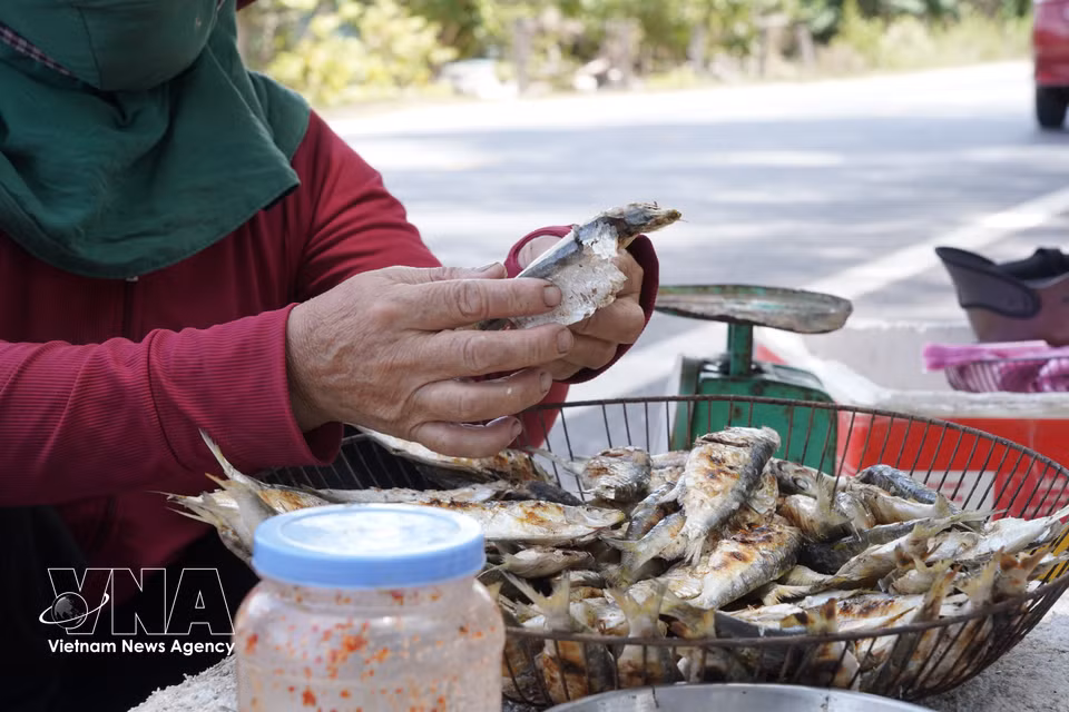 El oficio de asar sardinas no solo genera empleos e ingresos para los habitantes de la costa, sino que también contribuye a promover las especialidades de su tierra natal. (Foto: VNA)