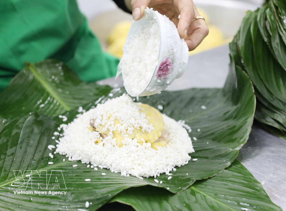 El Banh Chung es un plato tradicional vietnamita, elaborado con ingredientes principales como arroz glutinoso (generalmente arroz glutinoso de flores amarillas), frijol mungo pelado, carne de cerdo (tocino o paleta con suficiente grasa) y condimentos como pimienta, sal y cebolla seca. (Foto: VNA)