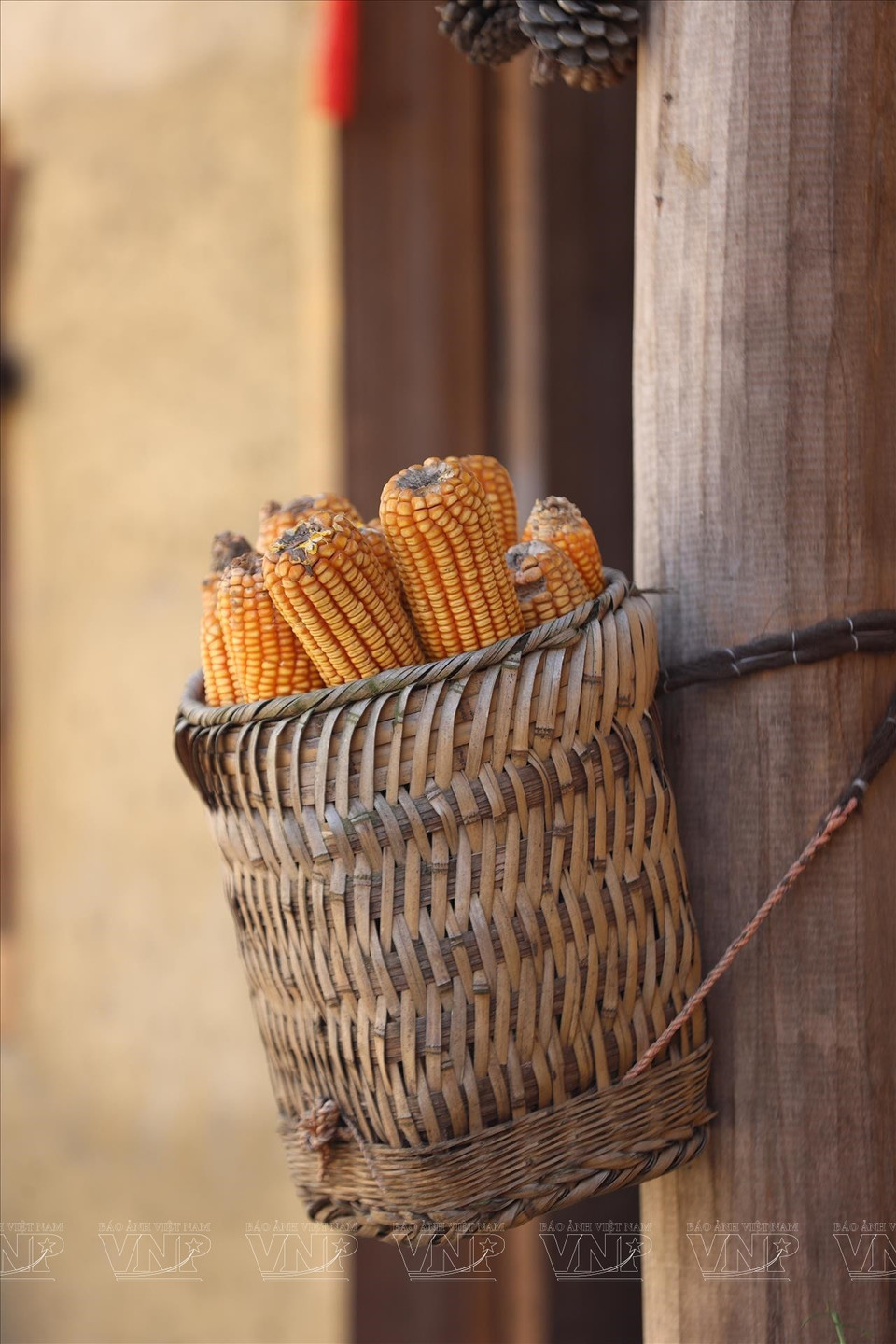 : Se presentan a los visitantes los aspectos culturales de la vestimenta y la agricultura del pueblo Lo Lo en la aldea de Lo Lo Chai. Foto: VNA
