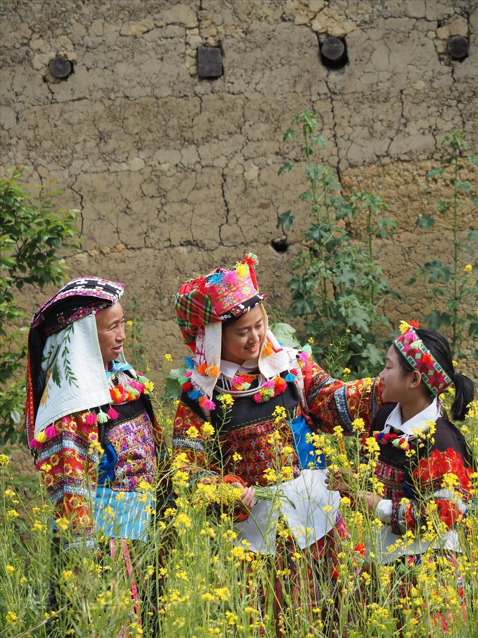 La vida cotidiana del pueblo Lo Lo en la aldea de Lo Lo Chai. Foto: VNA