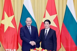 El presidente de Vietnam, Luong Cuong, y su homólogo de Bulgaria, Rumen Radev. (Fuente: VNA)