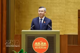 El ministro de Finanzas, Ngo Van Tuan, presenta el informe de verificación. (Foto: VNA)
