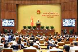 El panorama de la reunión. (Foto: VNA)