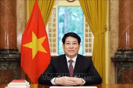El presidente de Vietnam, Luong Cuong. (Fuente: VNA)