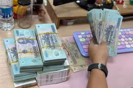 Los expertos de UOB pronostican que los tipos de cambio y de interés serán variables clave para la economía vietnamita en 2026. (Foto: Vietnamplus)