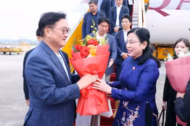 Nguyen Thanh Hai, jefa de la Comisión de Ciencia, Tecnología y Medio Ambiente de la Asamblea Nacional y presidenta del Grupo de Parlamentarios de Amistad Vietnam –Corea del Sur, recibe al presidente de la Asamblea Nacional de Corea del Sur, Woo Won Shik, en el aeropuerto internacional de Noi Bai. (Foto: VNA)