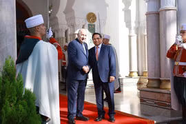 El primer ministro de Vietnam, Pham Minh Chinh, y el presidente argelino, Abdelmadjid Tebboune. (Foto: VNA)