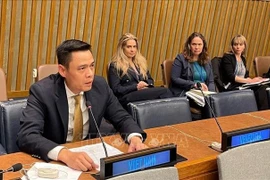 El embajador Dang Hoang Giang, jefe de la Misión Permanente de Vietnam ante la ONU. (Fuente: VNA)