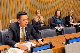 El embajador Dang Hoang Giang, jefe de la Misión Permanente de Vietnam ante la ONU. (Fuente: VNA)