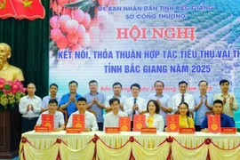 Firma de acuerdo de cooperación sobre el consumo de lichi de Bac Giang 2025. (Fuente: nhandan.com)