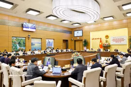 El panorama de la reunión. (Foto: VNA)