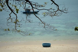 Belleza salvaje de la isla de Son Cha en Da Nang con gran potencial para el ecoturismo